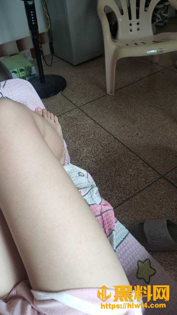 逍遥房东俏房客最新剧情