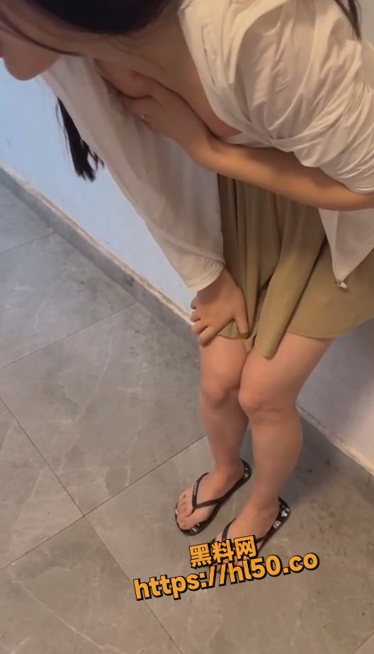 528X923