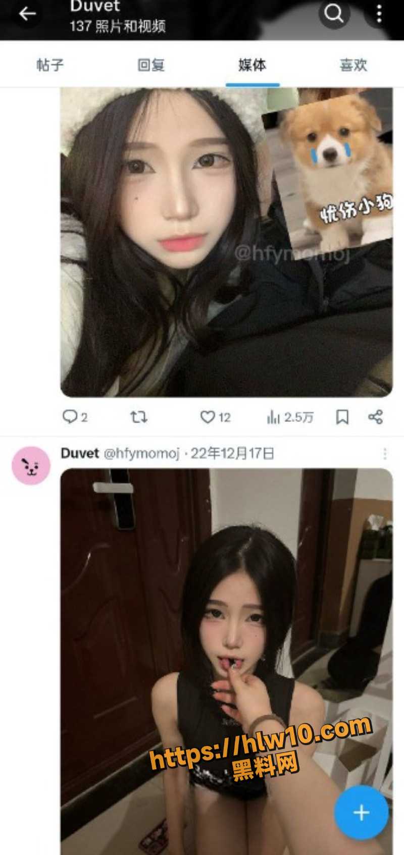 800X1694