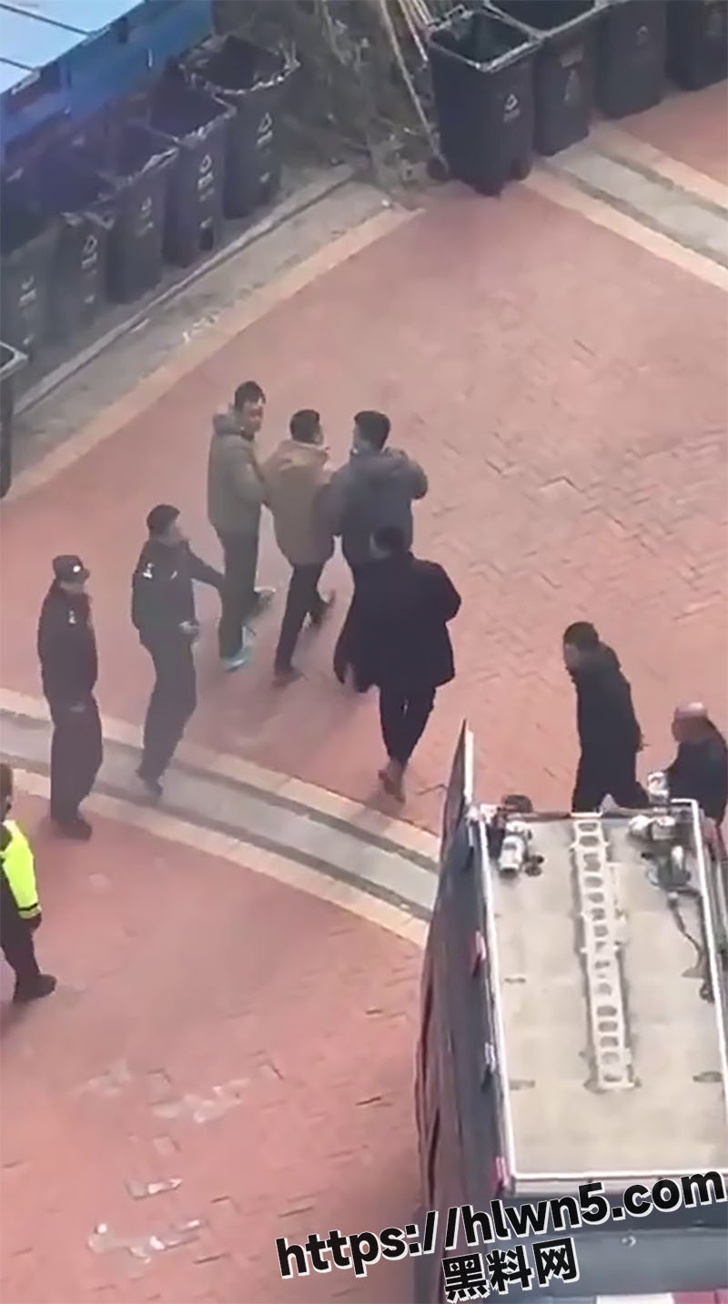 800X1433