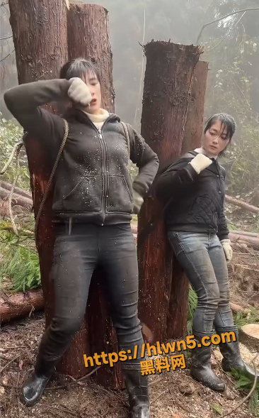 366X589
