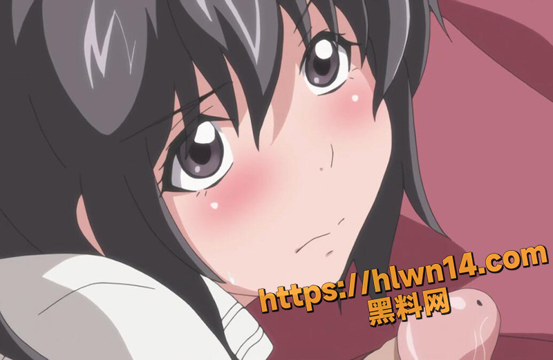 800X521
