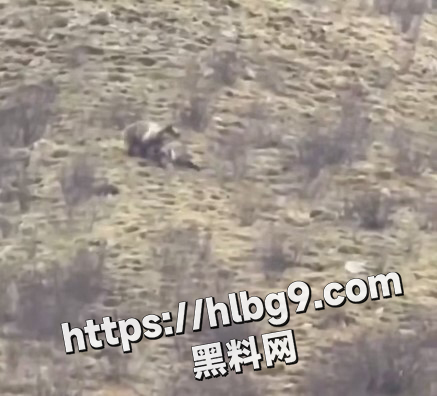 屏幕截图 20250612 165858