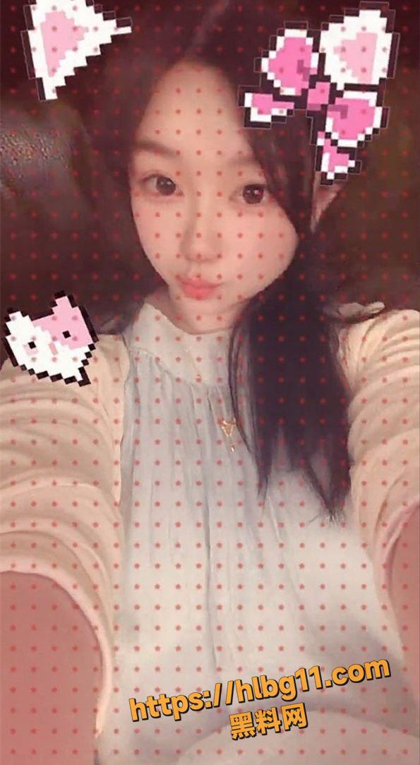 13031
