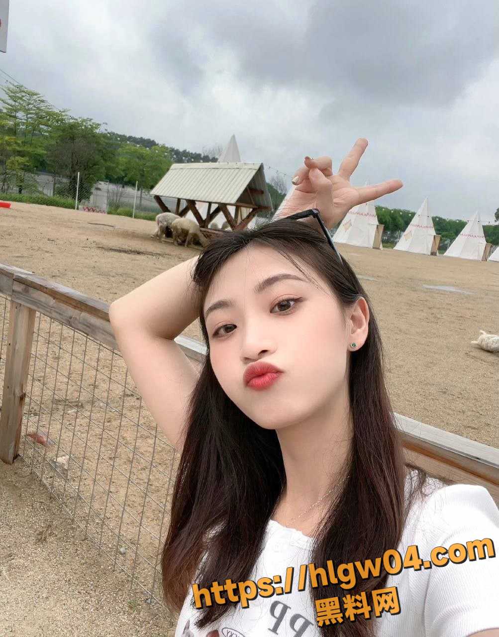 p8.8.7.4