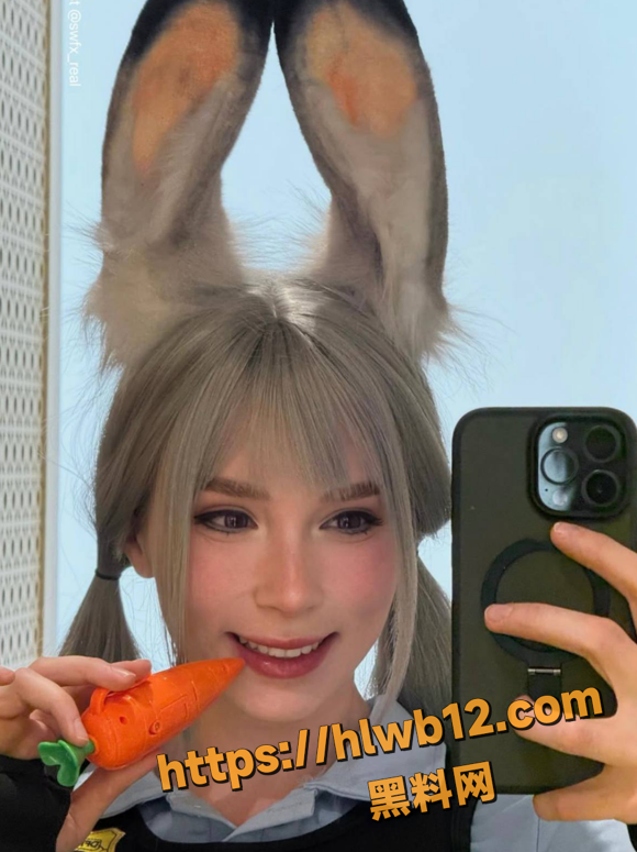 QQ20251201182723