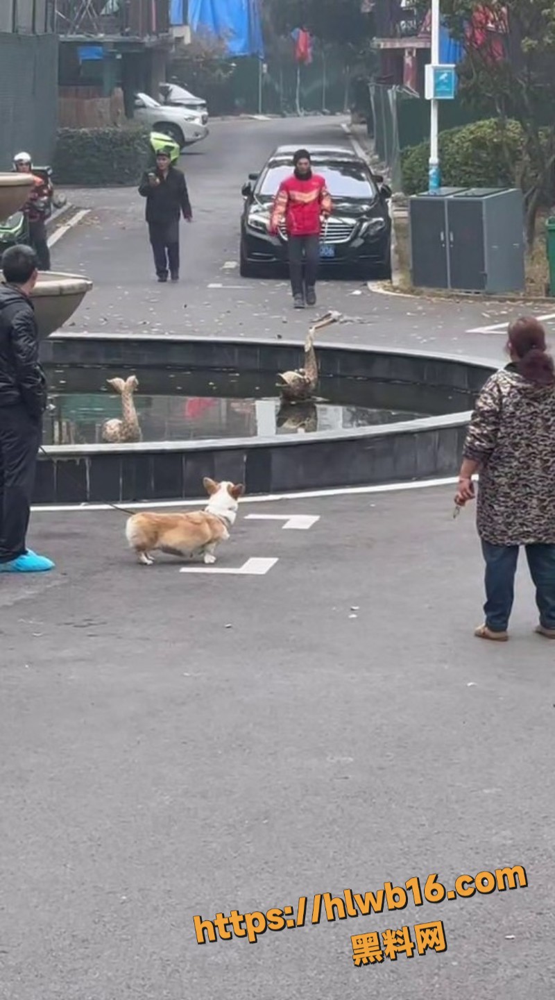 外卖小哥跟保安激烈交锋 拖把互攻场面混乱 纠纷虽小易酿大祸 生活不易何必拳脚相加！