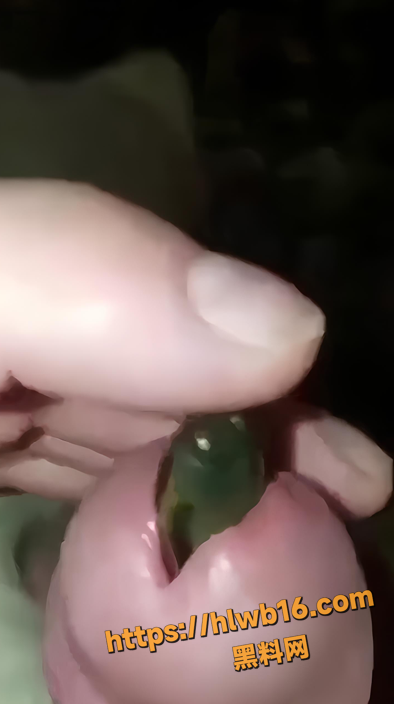 QQ20251214104221