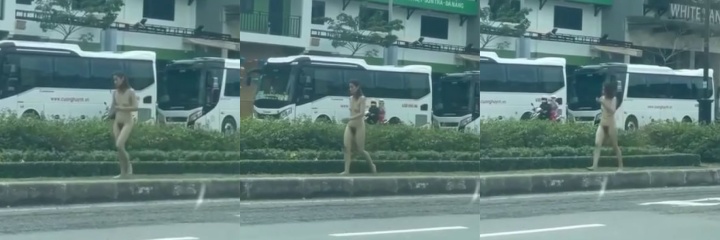 下载