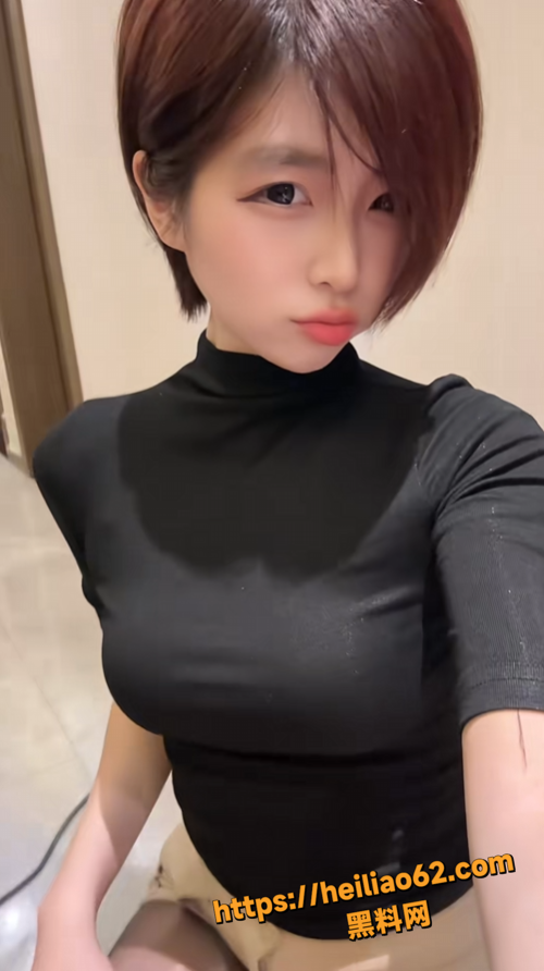 短发那只猫4