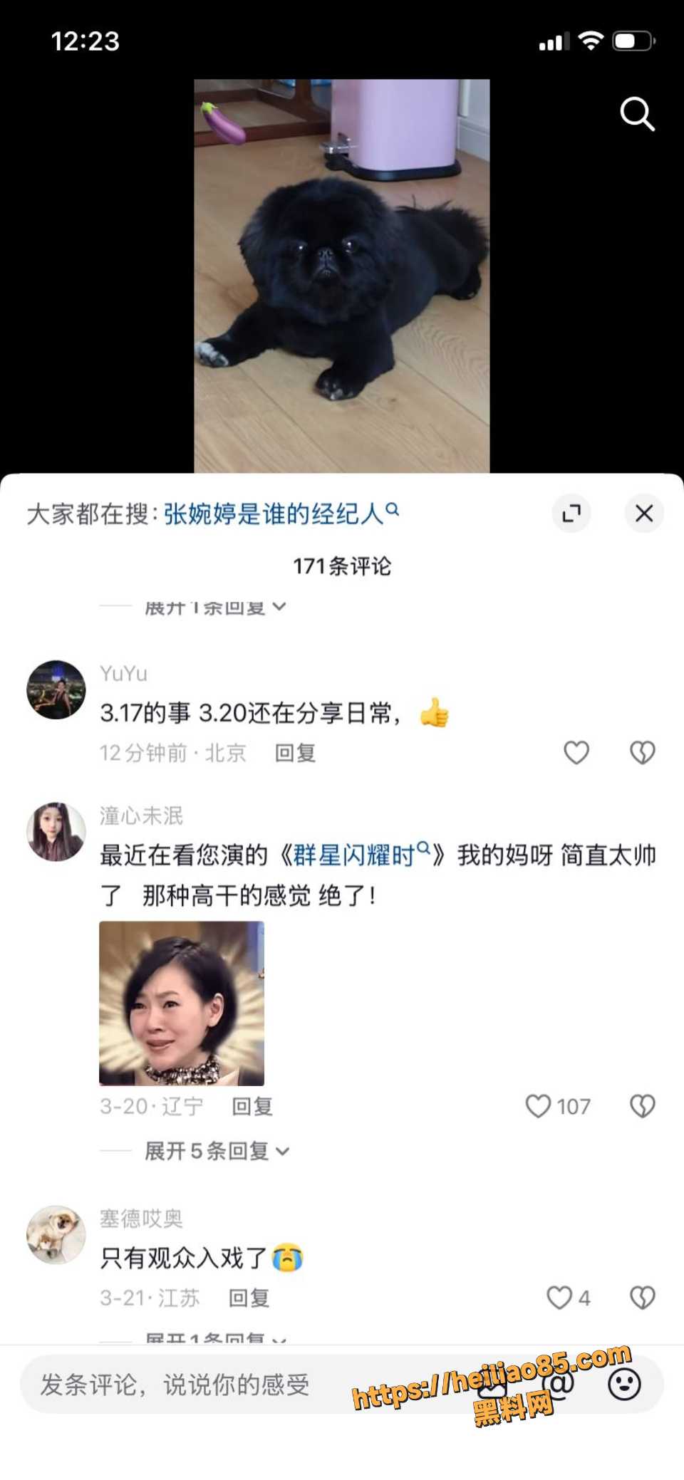 张婉婷6