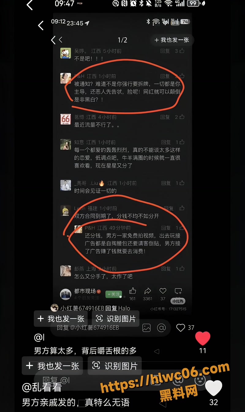 猪宝子 19wm