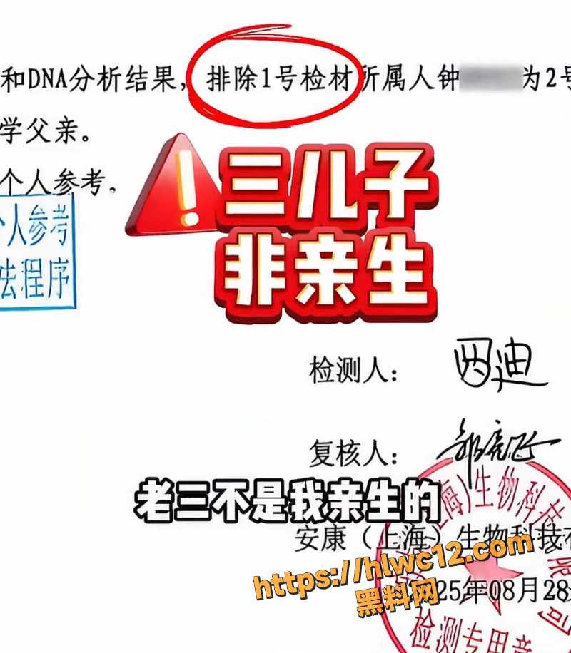 养了11年的3个子孩2个非亲生4