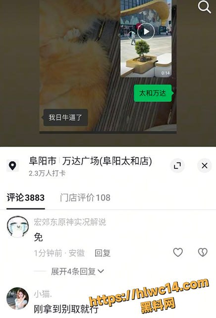 阜阳万达广场裸奔视频