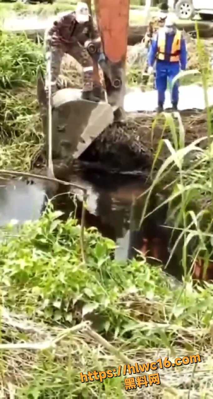 鳄鱼吃人现场救援2