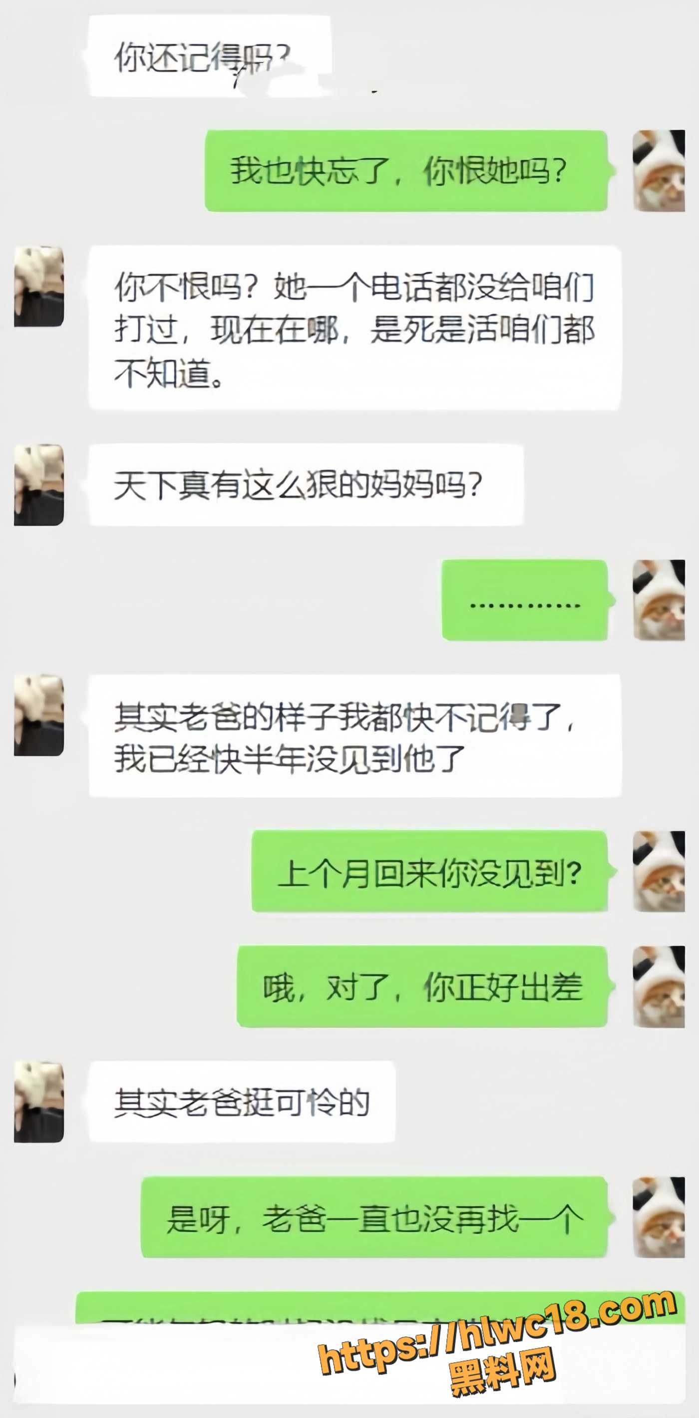 妹妹日记110集17.