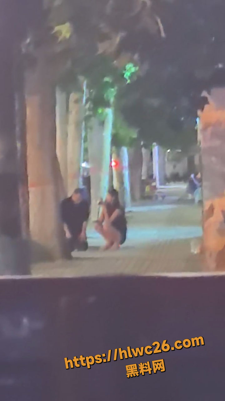 路边直播SM调教2