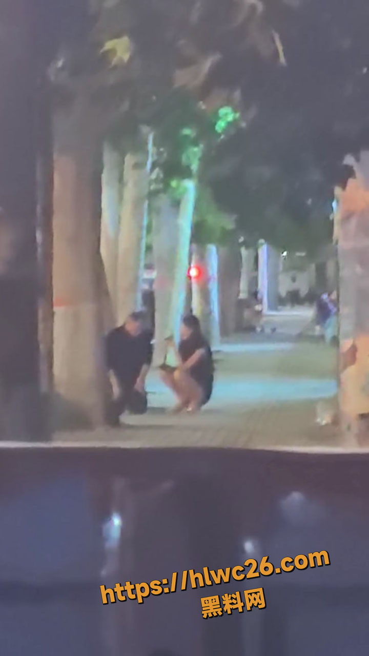 路边直播SM调教3