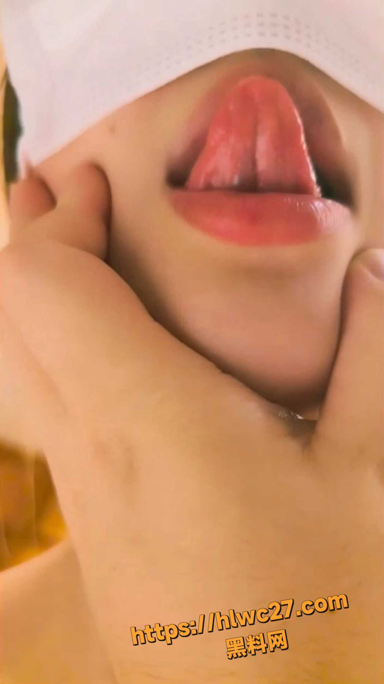 野猫小怪兽 1