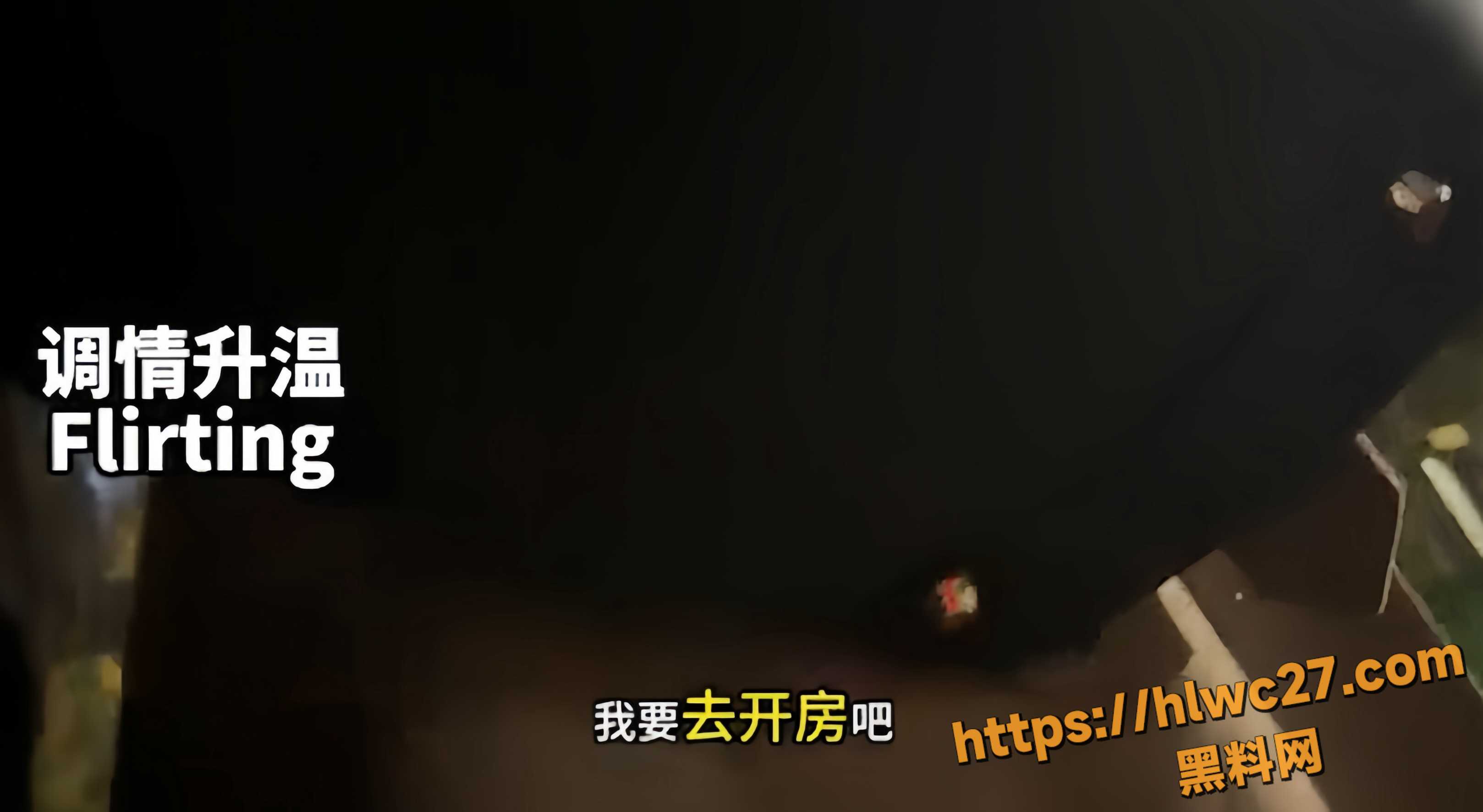 街头搭讪资源合集3