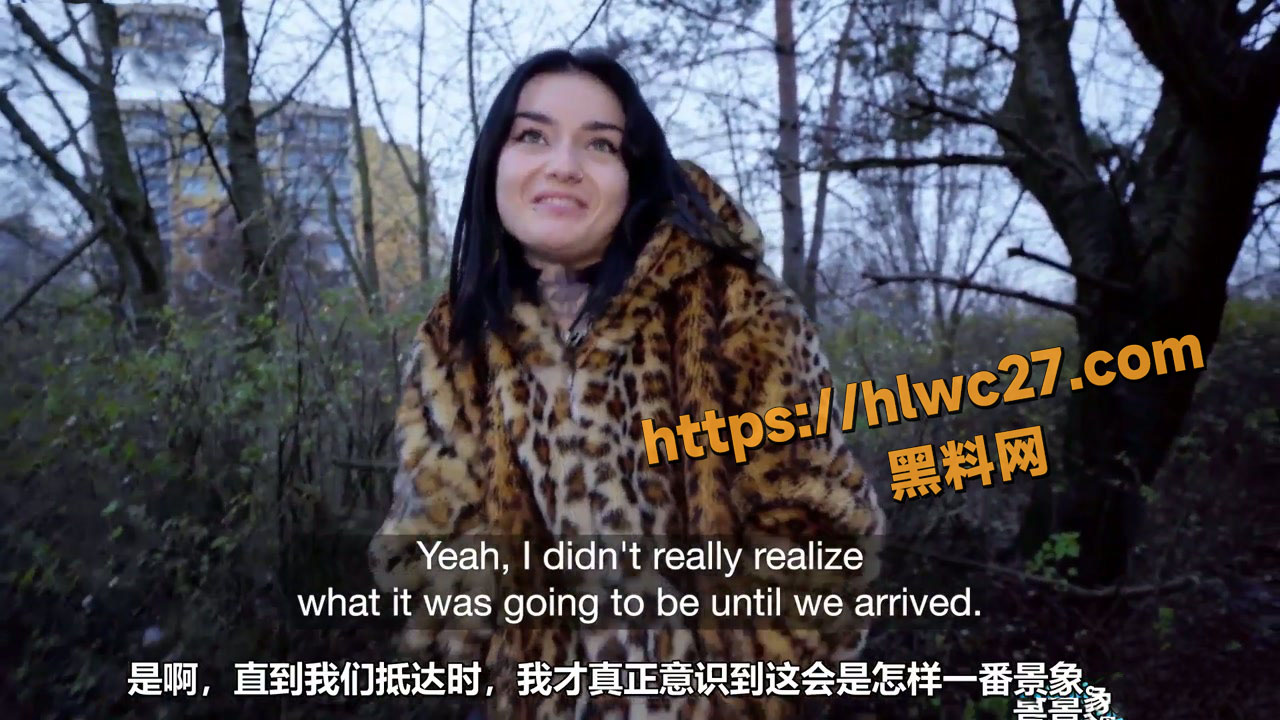 捷克街头钞能力