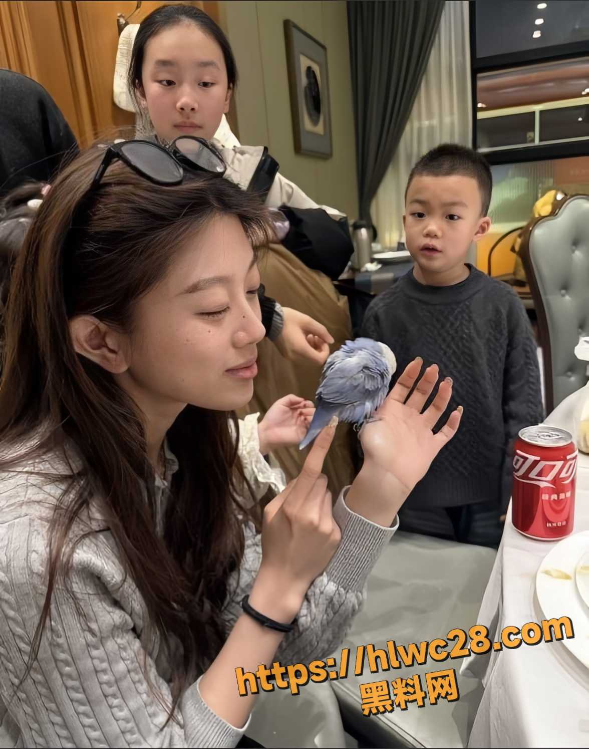高颜值御姐小赵露思2