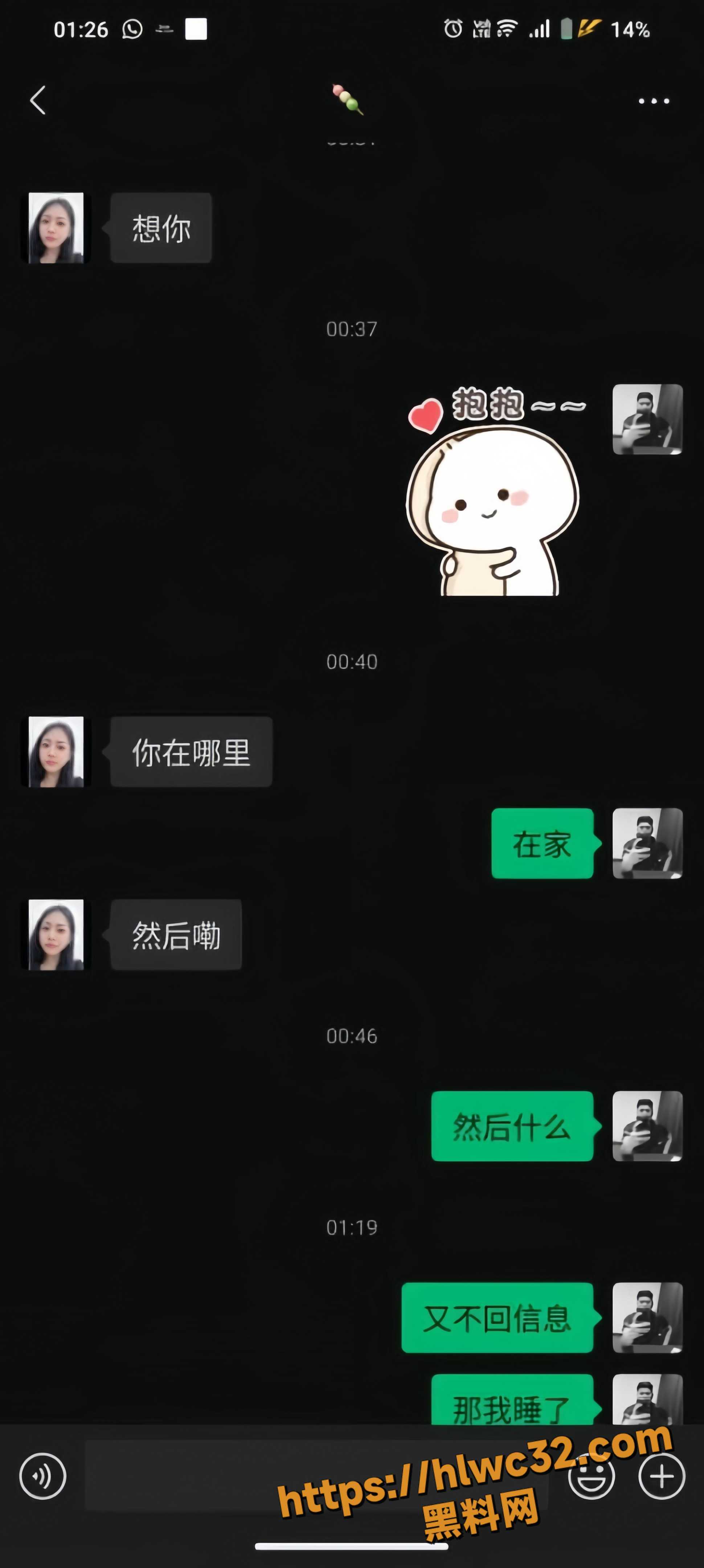 谢国彬不雅视频8