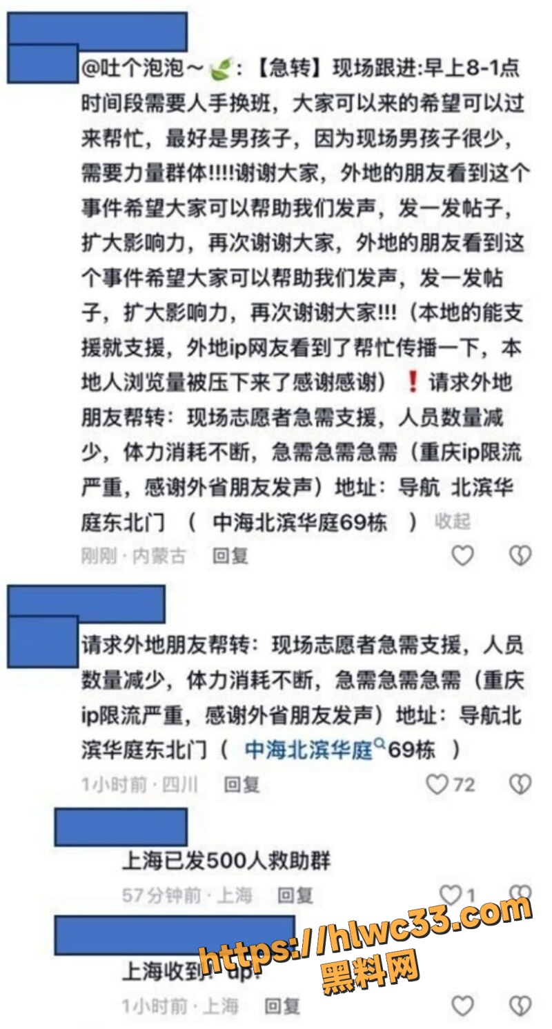 重庆山姆打包哥领养虐狗2