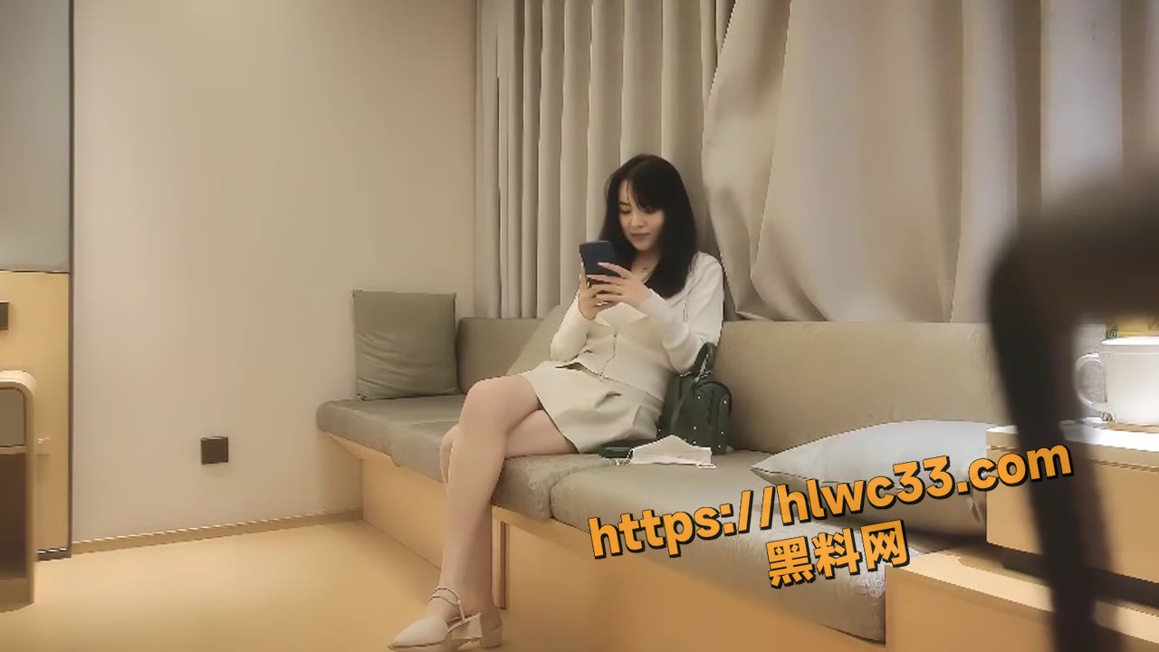 文轩探花