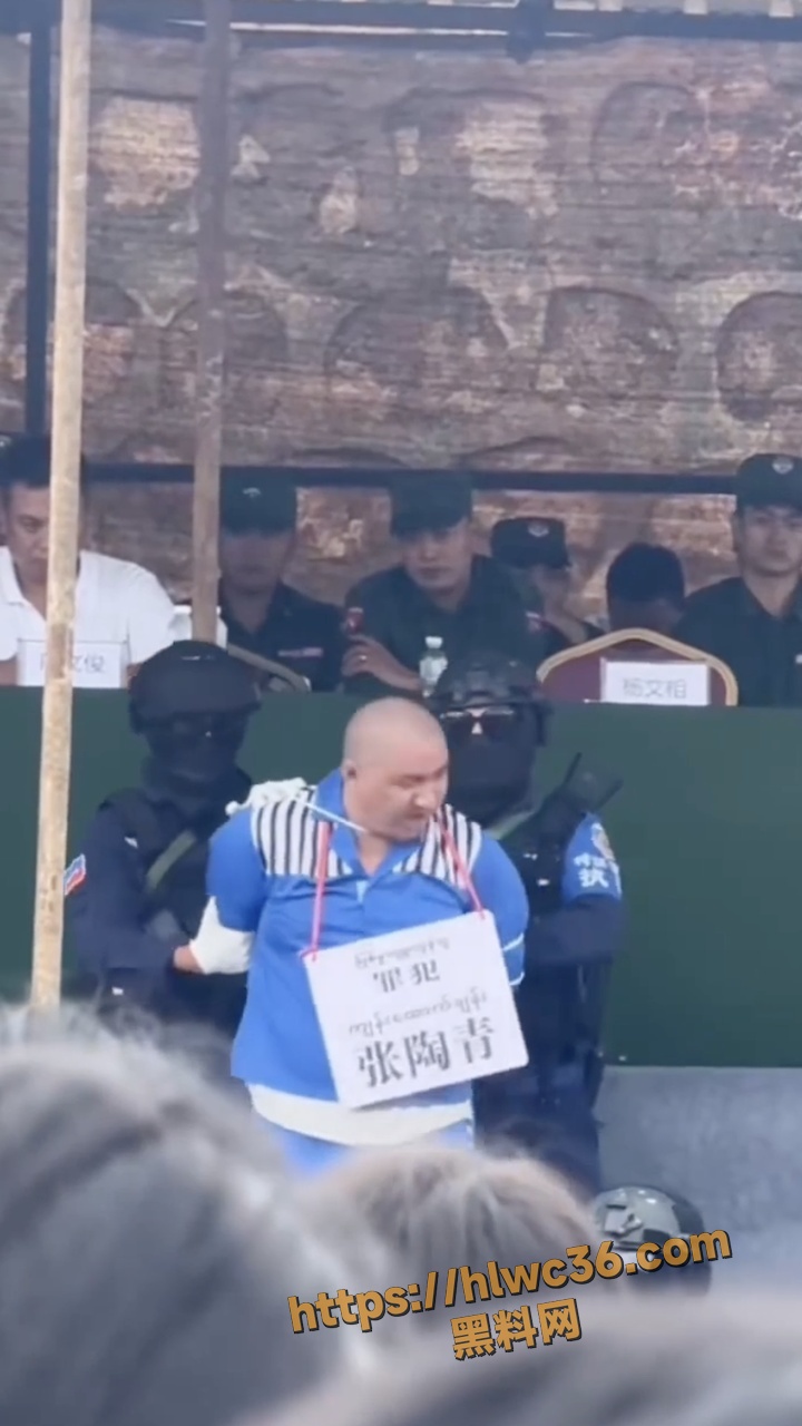 张陶青
