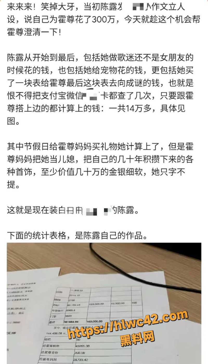 陈露晒证明澄清事件9