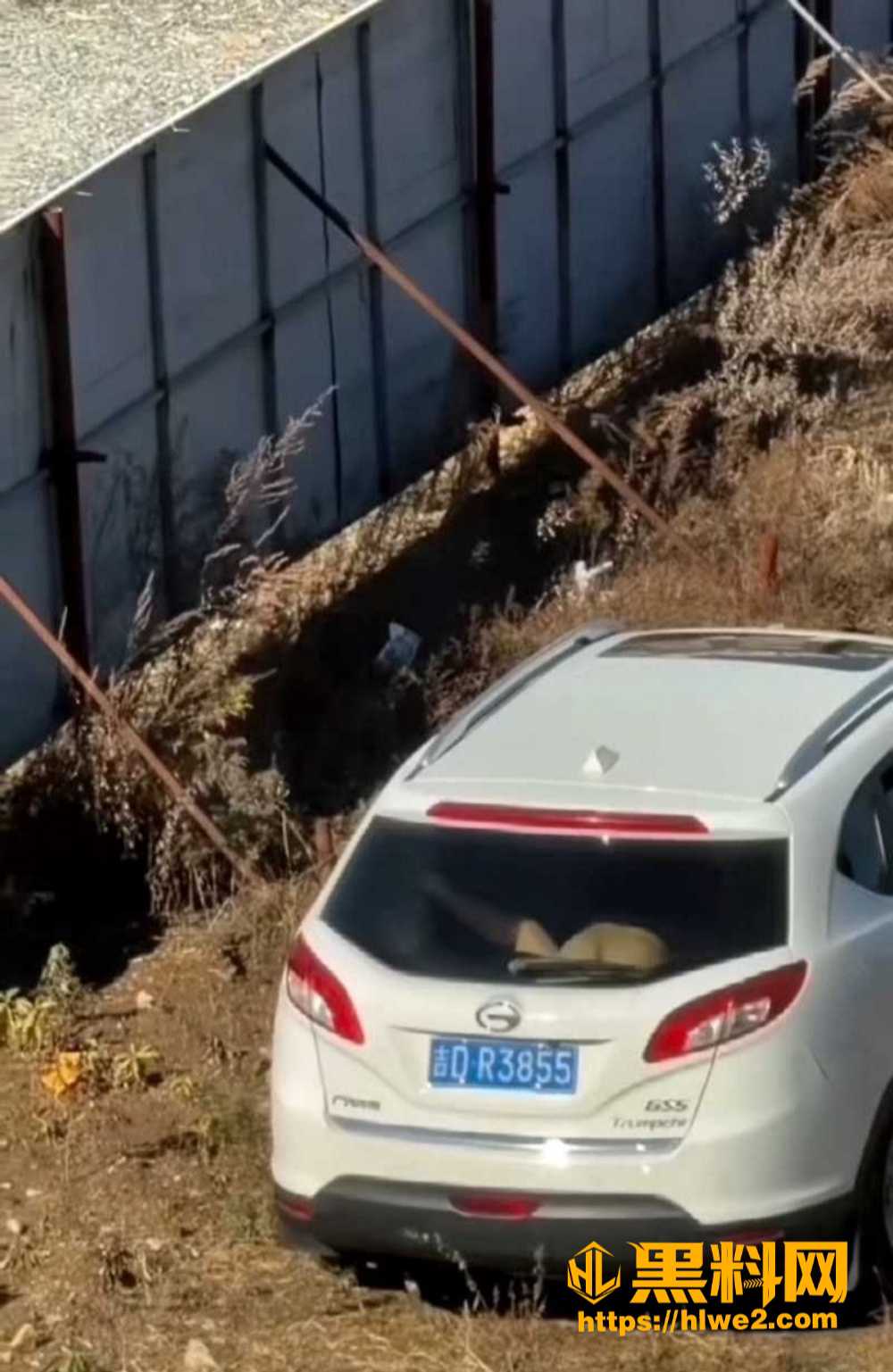 辽宁小伙与老阿姨车震事件
