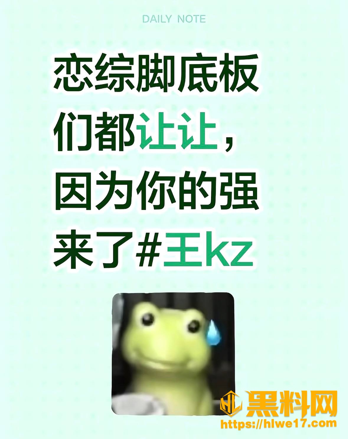 王垲智嫖娼视频